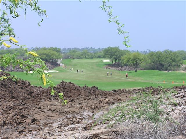 450_golf_course_2__small_